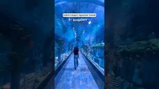 India&rsquo;s Longest Aquarium in Bangalore | Places to visit in Bangalore | Weekend for kids|Water park