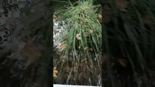 Крым эпизод 169