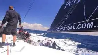 Perpetual Loyal