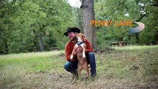 What if we advertised dogs available for adoption like this.