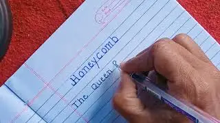Honeycomb Story in English//Handwriting practice