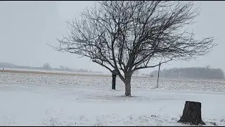 Watching the Friday snow: Midwest farm edition. No big thrills expected...