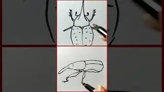 Which one do you like better