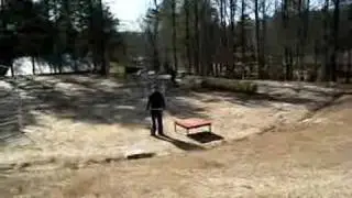 Borzoi Agility