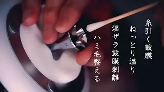 ASMR 糸引く鼓膜/耳奥のネバ絡み/鼓膜剥離(湿・ザラ)ハミ毛処理 Ear Cleaning | Sticky & Gentle Sounds for Deep Relaxation