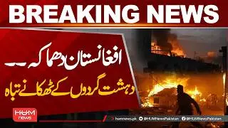 Major Operation in Afghanistan | Militant Hideouts Destroyed| Hum News | Pakistan