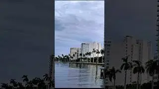 Best Real Estate Team in Florida!