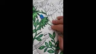 Pintando o livro Animorphia