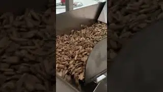Cashew Roasting Machine: Tradition Meets Modern Technology 🌰  #shorts #nutsroastingmachines #machine