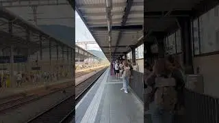At Olten station #summerinswitzerland #traintravel #transfer #traveller #olten