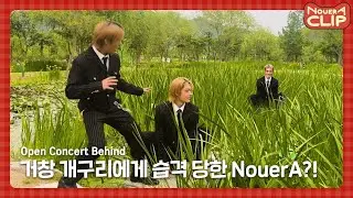 [NouerA] 거창 개구리에게 습격 당한 NouerA?! | Open Concert Behind | 📎NouerA_Clip