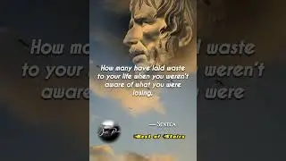 Seneca on The Shortness of Life | Stoic Philosophy #shorts