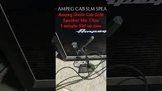 Ampeg SLM Speaker Metal Tones #ampeg #guitar