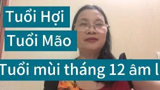 Tuổi Hợi tuổi Mão tuổi mùi tháng 12 âm lịch 