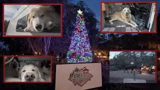 Irma's Christmas Vacation: A Disney Fort Wilderness Adventure!!!