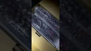Tail Lighting (Spec P open box)