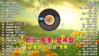 추억의 한국 트롯 명곡선 │ 시간 속에 남은 노래들 │가슴에 남은 옛 노래 💔 (연속재생) 이난영 · 이민숙 · 홍진영