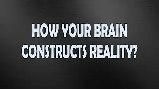 How Your BRAIN Constructs the WORLD Around You