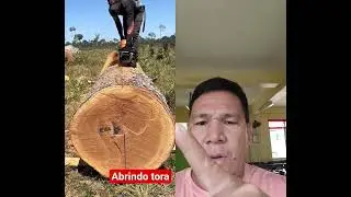 Amazing technique of Cutting/Sawing Huge Log🪵/wood #chainsaw #chainsawman #ytshorts #manual