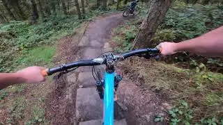 The Monkey trail, Cannock Chase