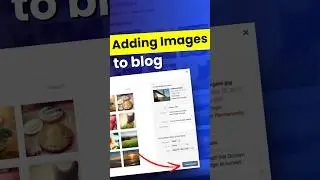 Should You Add Images to Your Blogs?