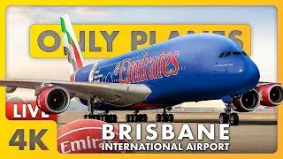 🔴 NIGHT Plane Spotting ft. NBA380 @ Brisbane Airport w/ James, Matty + ATC ✈️
