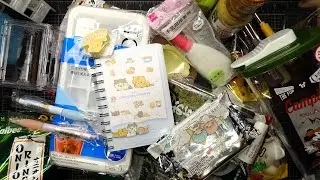 Daiso Japan Haul! Home Goods, Stationery, Craft & Food Items! All Fun!