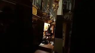 Dom zu Fulda ❤️ Rieger Orgel, Shorts AHS Bach #vlog