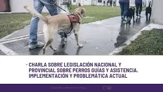 Legislación Nacional y Provincial sobre perros guías y asistencia. Implementación y Problemática....
