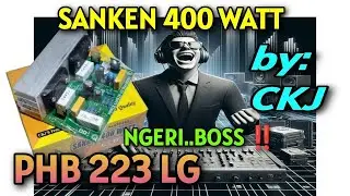 SANKEN 400 WATT MONO by: CKJ PHB 223 LG