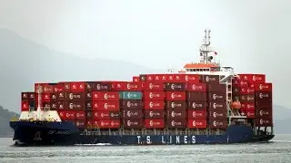 Container Ship《TS MAWEI》Crossing the Tsing Ma Bridge in HK 20260128_C0036