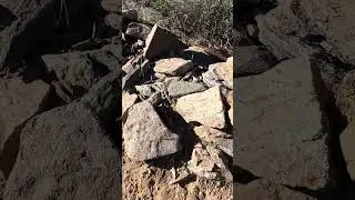 &ldquo;Ancient Settlement Ruins&rdquo;2-Sonoran Desert