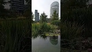 Biblioteca degli Alberi a Milano