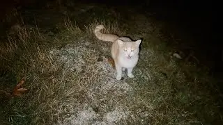 AKŞAM YAĞMURUNUN ALTINDA ÇEKİM 