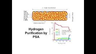 Hydrogen Purification by Pressure Swing Adsorption