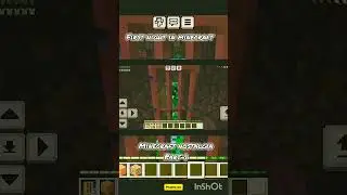MINECRAFT NOSTALGIA // PART-1 // #mineflick #minecraftshorts #minecraft #nostalgia