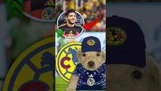 Raul Jim&eacute;nez Al Ave (Am&eacute;rica vs Chivas) #clubamerica #chivas #ra&uacute;ljim&eacute;nez