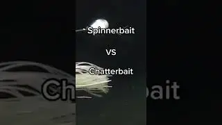 Spinnerbait vs. Chatterbait Basics!
