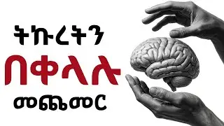 በእነዚህ ልማዶች ትኩረታችሁን በፍጥነት አስተካክሉ!!!  Shanta | Tibebsilas | Semuni