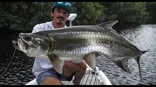 Tarpon in glades PT one