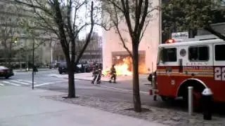 Bonfire in Brooklyn