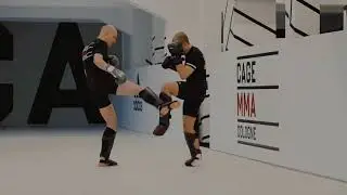 Lowkick-Konter