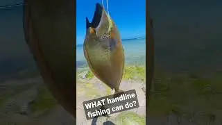 THE POWER OF SEA WEEDS handline fishing #fishing #adventure #sea
