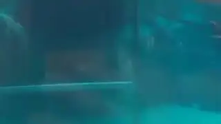 Shitpost Status