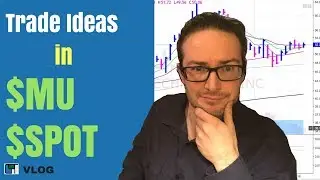 Real-Time Trade Ideas in MU and SPOT