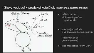 Biochemie 30 - Vznik ketol&aacute;tek a jejich odbour&aacute;n&iacute; a v&yacute;znam