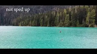 Canada Short Film - Vancouver / Whistler