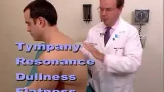 percussion of the back