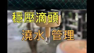 穩壓滴頭 滴灌 自動澆水設備 穩壓噴頭 噴灌設備 2分水管 2分小黑管 4mm #花園城堡園藝資材倉苦