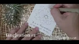 Pamaroo - Tangleation #2 by Susan Yeo, CZT